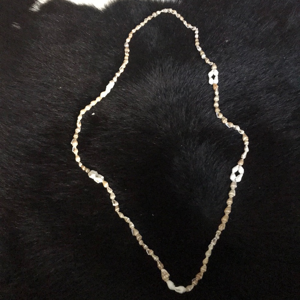 Sea shell necklace